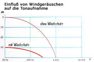 Windschutz